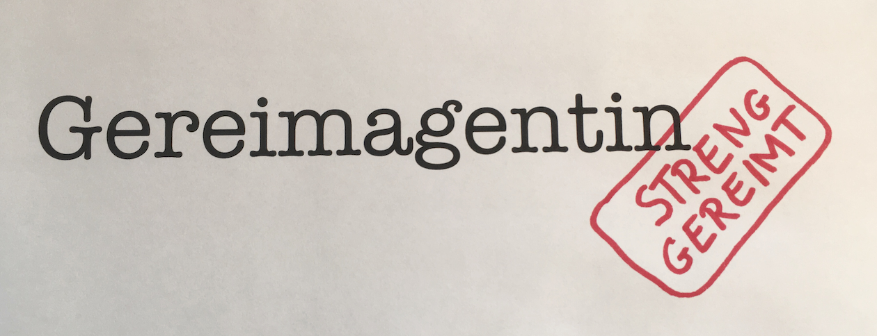 gereimagentin-logo-quer.png